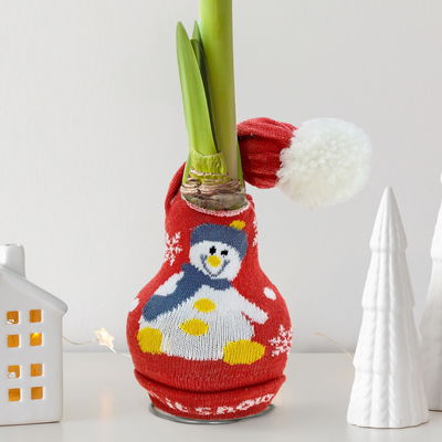 Amaryllis in Wachs, Dekor 'Strickmütze Schneemann, Blüte rot Amaryllis in Wachs, Dekor 'Strickmütze Schneemann, Blüte rot