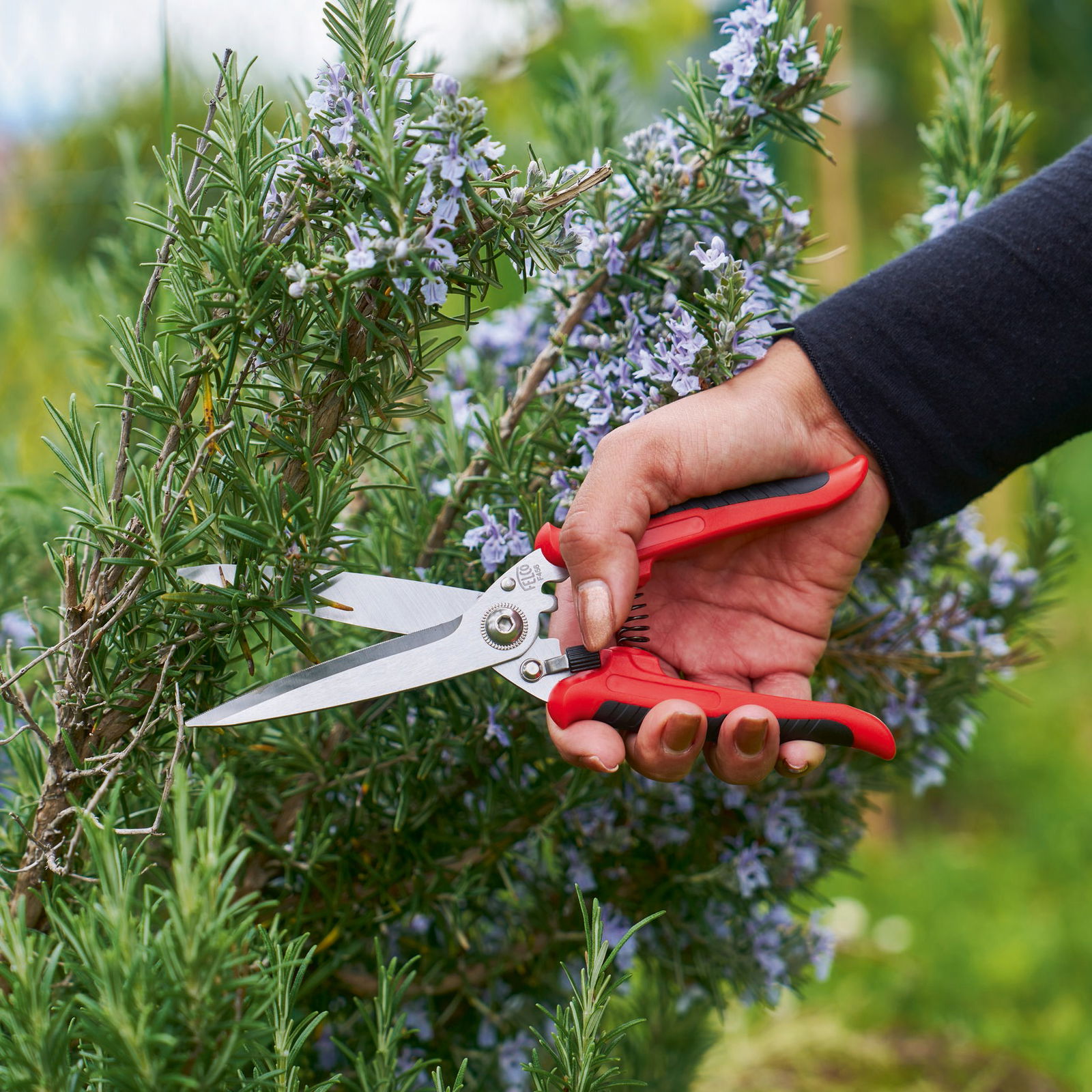 Felco Universalschere Nr. 171 Felco Universalschere Nr. 171