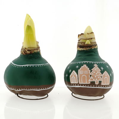 Amaryllis in Wachs, Dekor 'Lebkuchen', handbemalt, Blüte rot Amaryllis in Wachs, Dekor 'Lebkuchen', handbemalt, Blüte rot