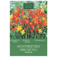 Kölles Beste Montbretien Mischung, 10 Blumenknollen