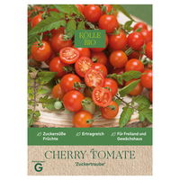 Kölle Bio Saatgut Cherry-Tomate 'Zuckertraube', rot