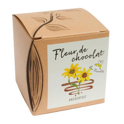 Anzuchtset Fleur de Chocolat, Saatgut und Anzuchterde inklusive Anzuchtset Fleur de Chocolat, Saatgut und Anzuchterde inklusive