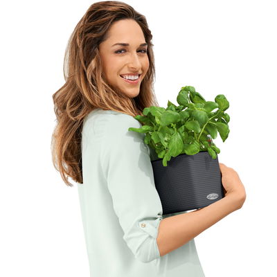 Lechuza 'Green Wall Home Kit Color', schiefergrau, ca. 48 x 15 x H 14 cm