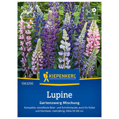 Blumensamen, Lupine 'Gartenzwerg', bunt
