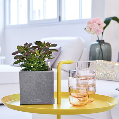 Lechuza 'Canto Stone 14', steingrau, ca. 14 x 14 x H 13,5 cm