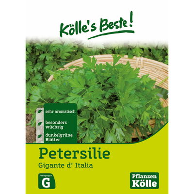 Kölles Beste Kräutersamen Petersilie 'Gigante di Napoli' Kölles Beste Kräutersamen Petersilie 'Gigante di Napoli'