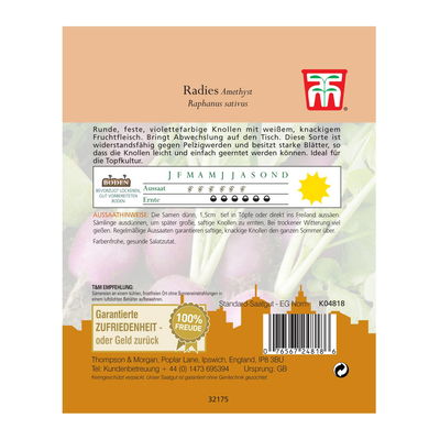 Radies Amethyst / „A Radies Amethyst / „A