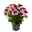 Kapkörbchen rosa/lila gefüllt, Topf-Ø 12 cm, 6er-Set