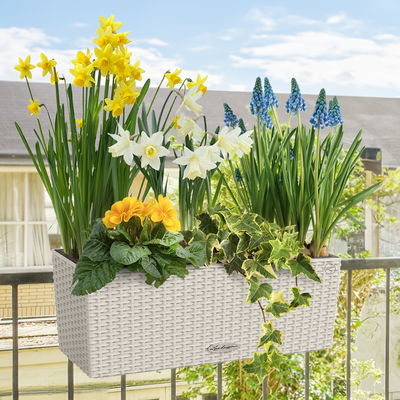 Lechuza 'Balconera Cottage 50', lichtgrau, ca. 50 x 19 x H 19 cm