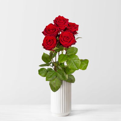 5 rote Rosen 'Red Naomi' 5 rote Rosen 'Red Naomi'