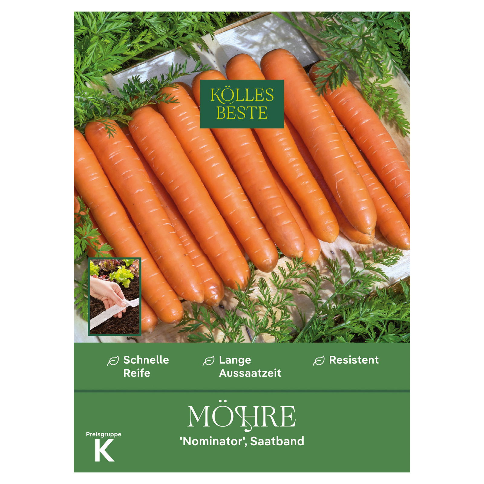Kölles Beste Saatband Möhre 'Nominator', orange