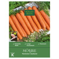 Kölles Beste Saatband Möhre 'Nominator', orange