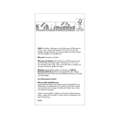 Asiatische Lilien 'Forever Susan', orange-dunkelrot, 3 Blumenknollen Asiatische Lilien 'Forever Susan', orange-dunkelrot, 3 Blumenknollen