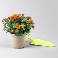 Pflanzenkreation Bunter Herbst, 12 Pflanzen inkl. 2x 10 l Erde