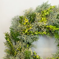 Adventskranz, Arizonica-Bux, halbrund gebunden, ca. 30 cm Ø Adventskranz, Arizonica-Bux, halbrund gebunden, ca. 30 cm Ø