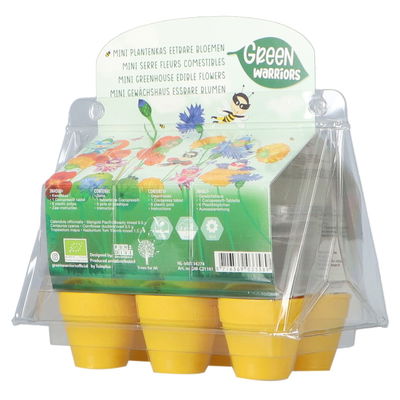 Mini-Gewächshaus mit essbaren Blumensamen Mini-Gewächshaus mit essbaren Blumensamen