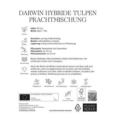 Darwin Hybride Tulpen Prachtmischung, 20 Blumenzwiebeln Darwin Hybride Tulpen Prachtmischung, 20 Blumenzwiebeln