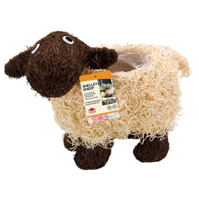 Pflanztopf 'Shelly Sheep', ca. 26 x 35 x 15 cm Pflanztopf 'Shelly Sheep', ca. 26 x 35 x 15 cm