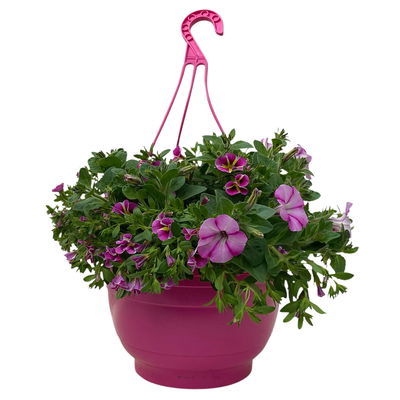 gemischte Sommerblumen-Ampel, rosa/pink, Ampeltopf-Ø 27 cm