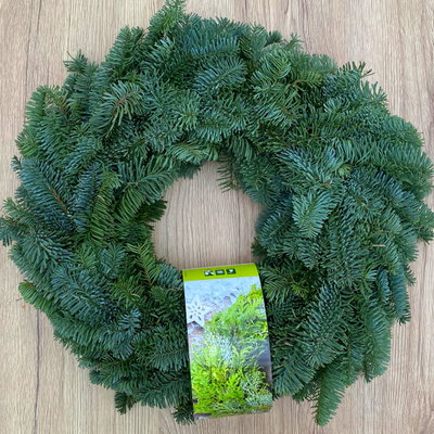 Adventskranz, Nobilistanne, halbrund gebunden, ca. 40 cm Ø Adventskranz, Nobilistanne, halbrund gebunden, ca. 40 cm Ø