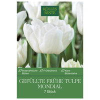 Gefüllte frühe Tulpen Mondial weiß, 7 Blumenzwiebeln
