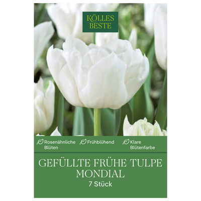 Gefüllte frühe Tulpen Mondial weiß, 7 Blumenzwiebeln Gefüllte frühe Tulpen Mondial weiß, 7 Blumenzwiebeln