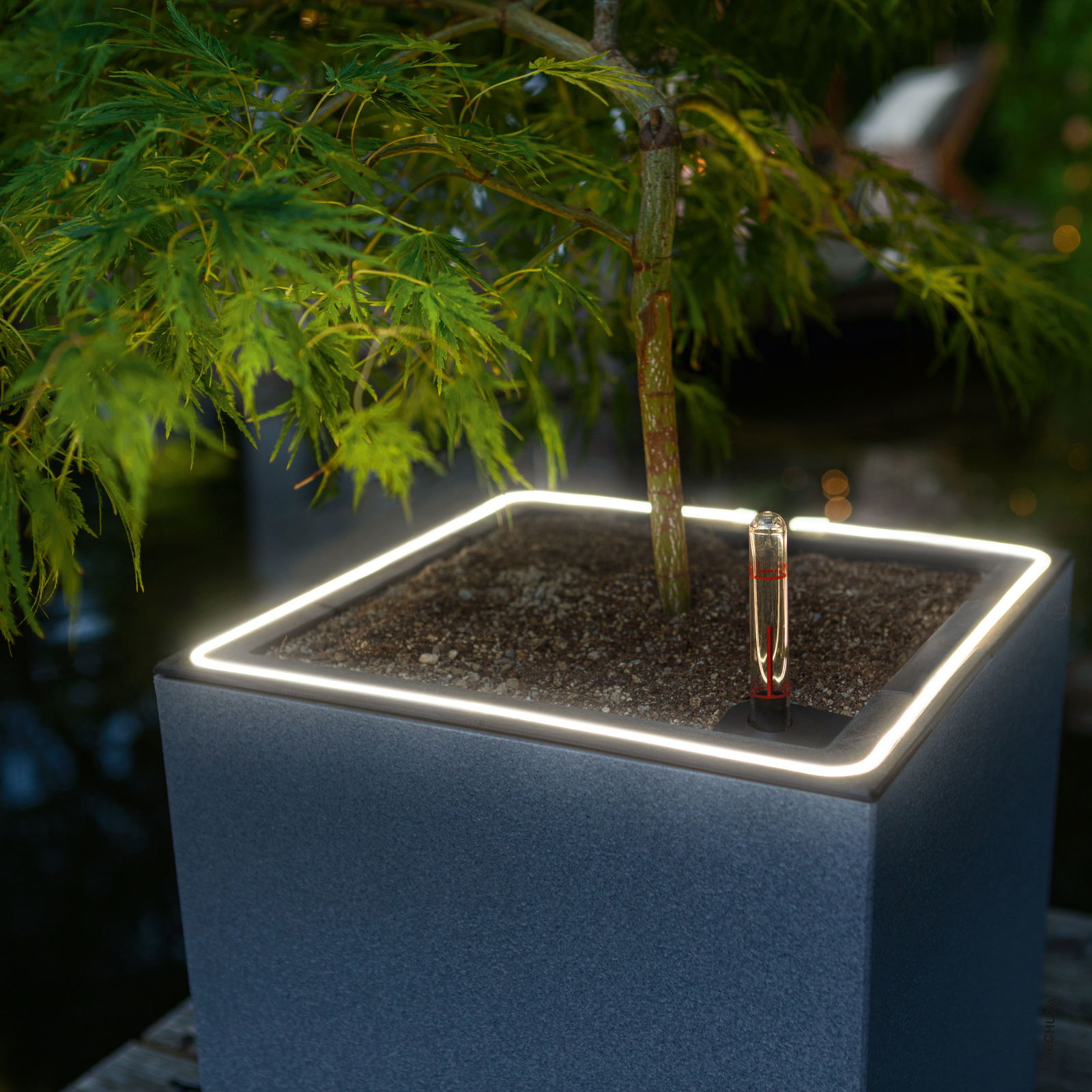 Lechuza 'Canto Stone 30  low LED', steingrau, 30 x 30 x H 30 cm