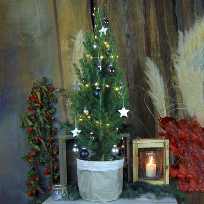 Weihnachtsbäumchen inkl. Deko, silber-schwarz, Höhe ca. 50 cm, Topf-Ø 23 cm