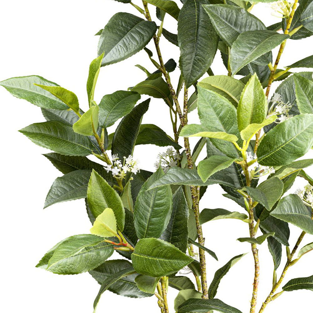 Kunstpflanze Osmanthus im Topf Höhe ca. 65 cm