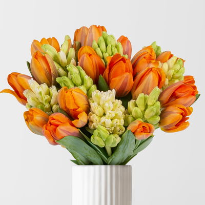 Schnittblumen-Mix aus 20 orangenen Tulpen & 9 weißen Hyazinthen