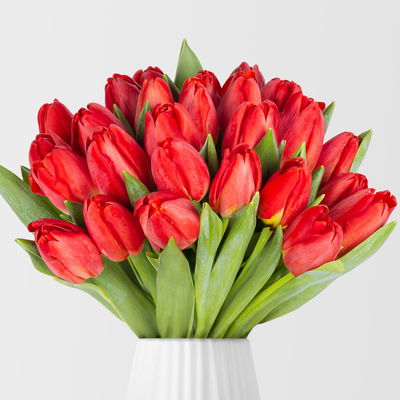 30 rote Tulpen