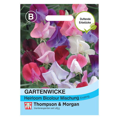Thompson & Morgan Gartenwicke 'Heirloom Bicolour Mischung'