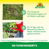 Neudorff Bestell-Set Nützlinge gegen Ameisen, 5 Mio Stück Neudorff Bestell-Set Nützlinge gegen Ameisen, 5 Mio Stück