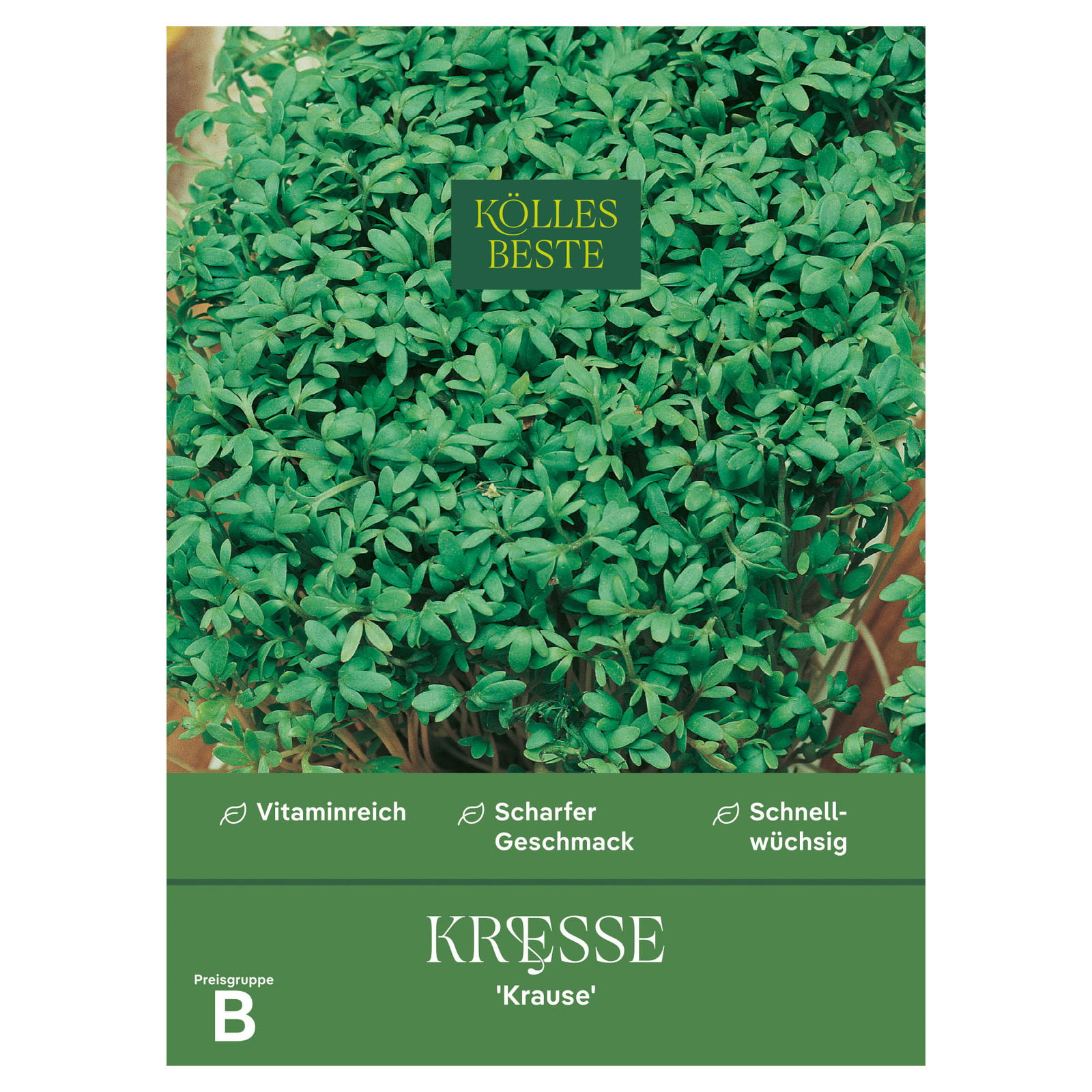 Kölles Beste Kräutersamen, Kresse 'Krause'