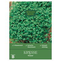 Kölles Beste Kräutersamen, Kresse 'Krause'
