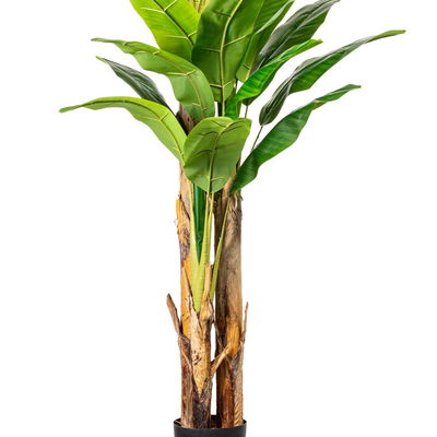 Künstliche Bananenpflanze, Höhe ca. 180 cm
