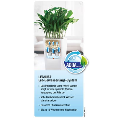Lechuza 'Cubico 30', schwarz, ca. 29,5 x 29,5 x H 56,5 cm Lechuza 'Cubico 30', schwarz, ca. 29,5 x 29,5 x H 56,5 cm