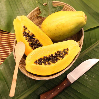 Blu Bio Papayapflanze, Topf-Ø 12 cm, 2er Set Blu Bio Papayapflanze, Topf-Ø 12 cm, 2er Set