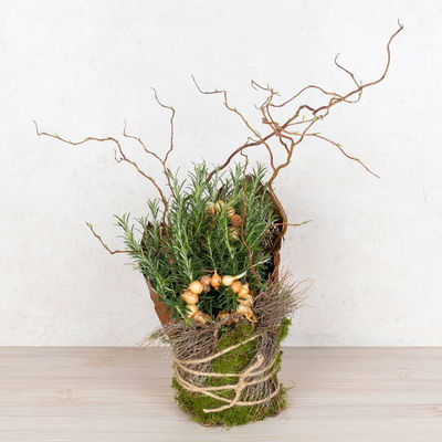 Workshop zum Kräuter-Erlebnistag 