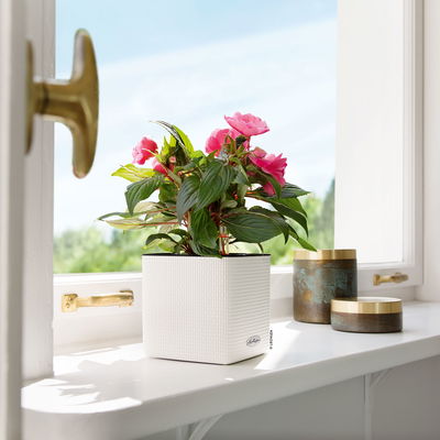 Lechuza 'Cube Color 16', weiß, ca. 17 x 17 x H 16 cm Lechuza 'Cube Color 16', weiß, ca. 17 x 17 x H 16 cm