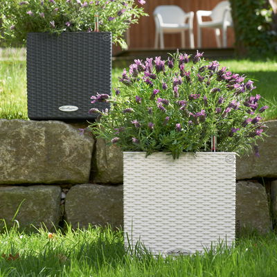 Lechuza 'Cube Cottage 30', weiß, ca. 29,5 x 29,5 x H 30 cm Lechuza 'Cube Cottage 30', weiß, ca. 29,5 x 29,5 x H 30 cm