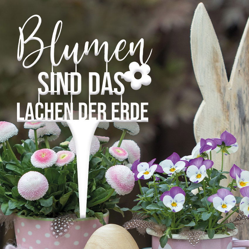 Illumino Blumenstecker 'Blumen sind das Lachen der Erde'