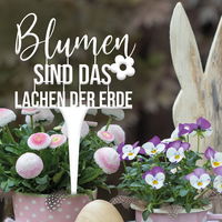 Illumino Blumenstecker 'Blumen sind das Lachen der Erde'