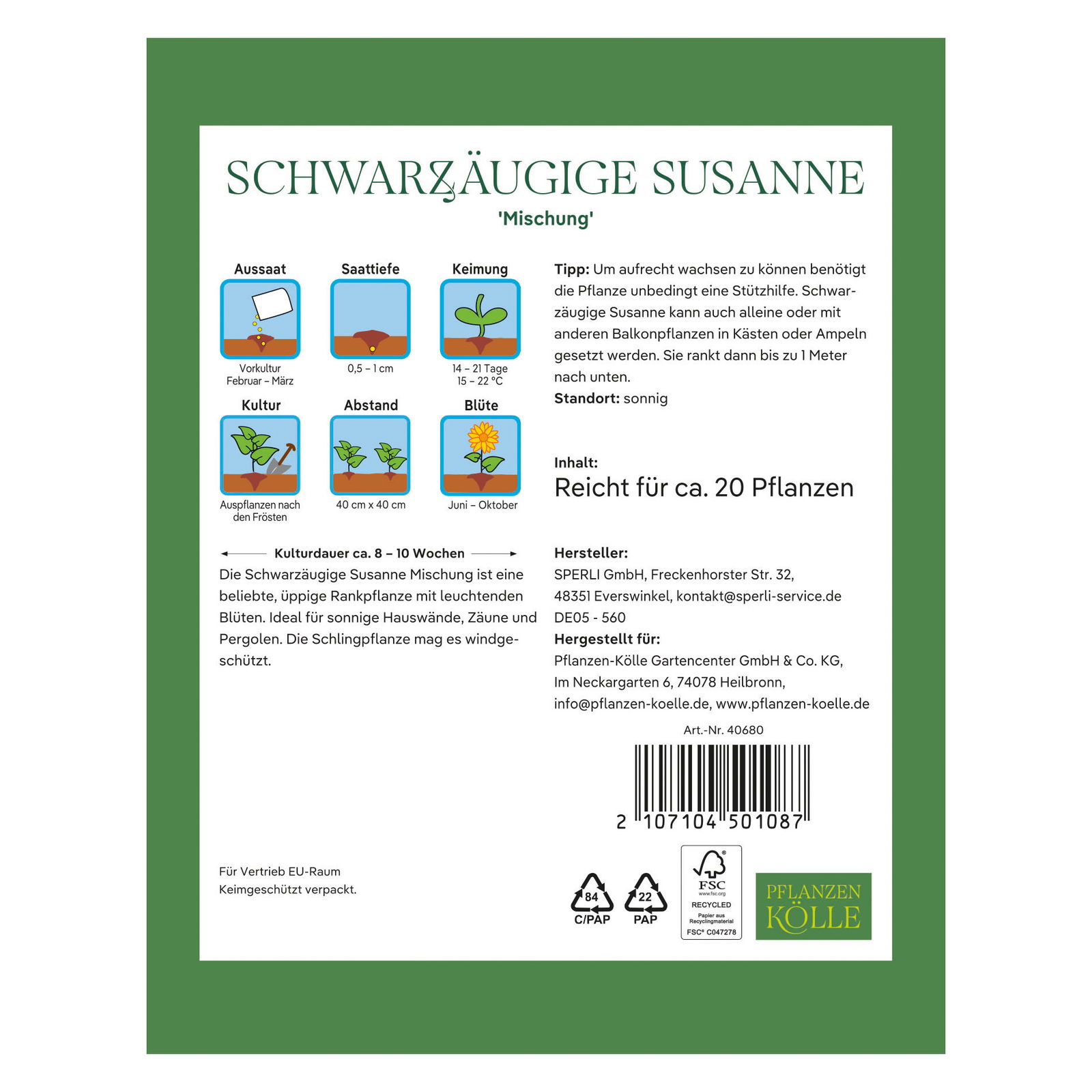 Kölles Beste Blumensamen, Schwarzäugige Susanne 'Mischung'