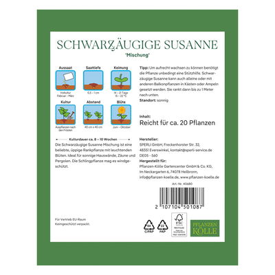 Kölles Beste Blumensamen, Schwarzäugige Susanne 'Mischung'