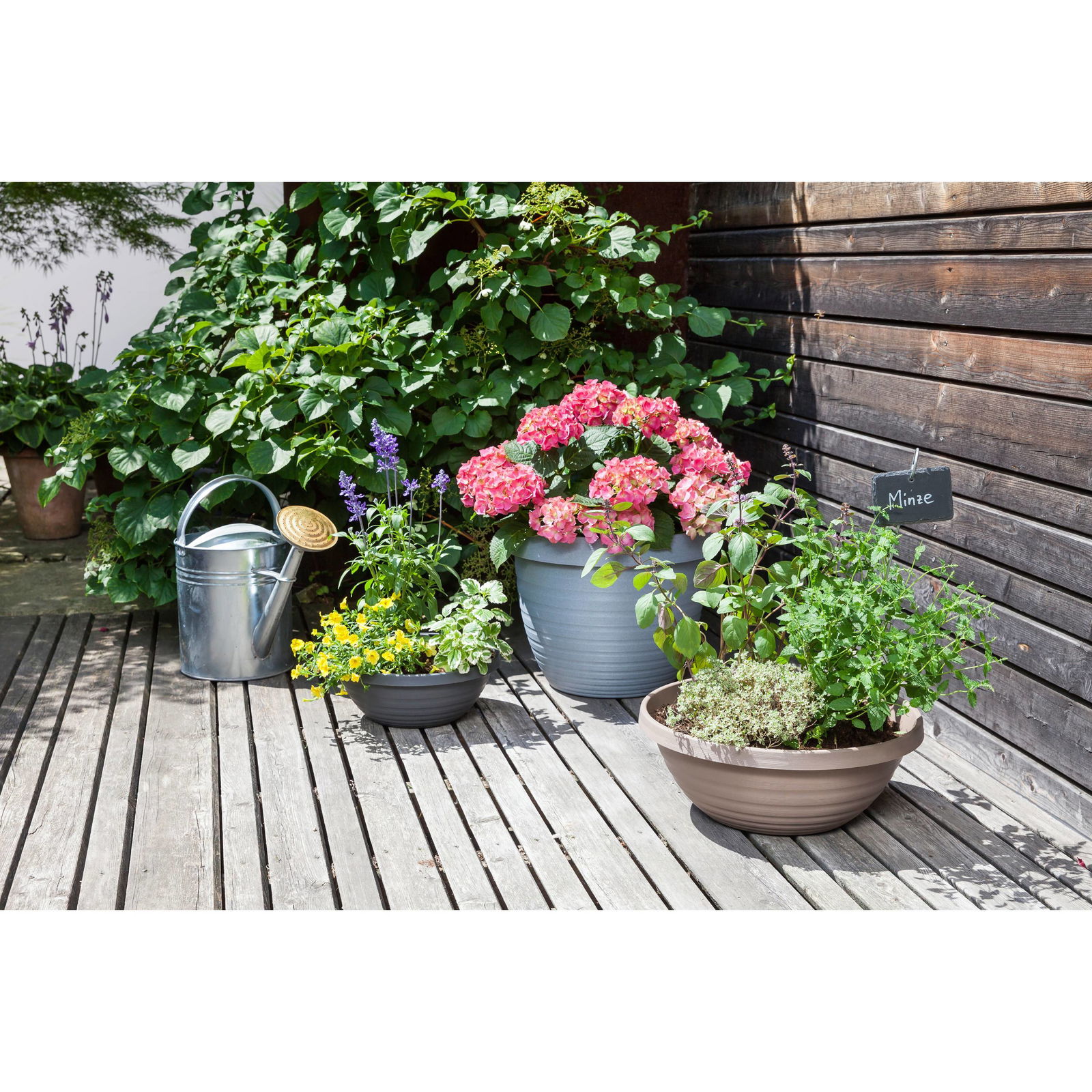 Pflanzschale 'Country Star', granite grey, Ø 39 x H 15 cm, 9,5 Liter
