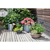 Pflanzschale 'Country Star', granite grey, Ø 39 x H 15 cm, 9,5 Liter