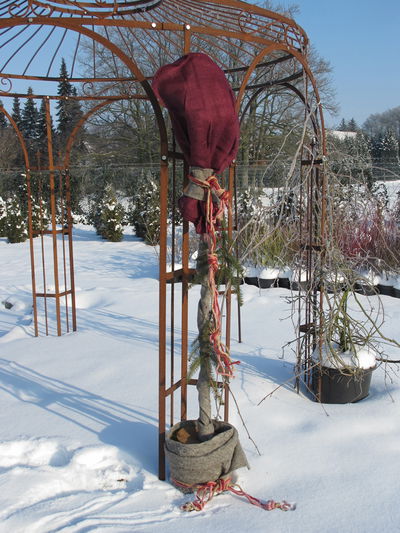 Winterschutz Jutesack, waldbeere, 80 x 60 cm