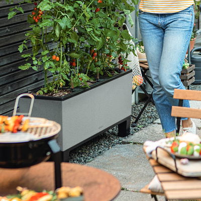 Lechuza 'Trio Stone 30', steingrau, ca. 100 x 32,5 x H 34,5 cm