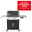 Gasgrill 'Genesis EX-325s', schwarz